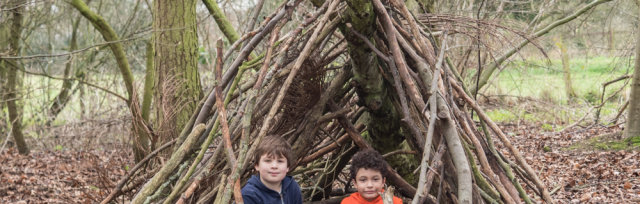 Back to the Woods Summer Adventure Day at Daws Hall Nature Reserve