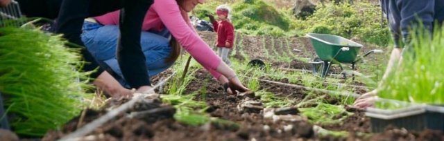 Farming For Nature Walk with Moyhill Community Farm - August (Co.Clare)