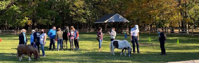 Equine Therapy Clinic with Tim Hayes