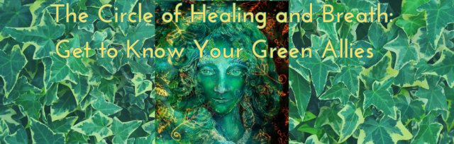 The Tarot Boutique Presents: The Circle of Healing and Breath - Get to Know Your Green Allies