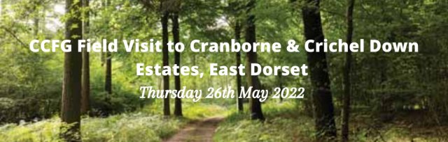 CCFG Field Visit to Cranborne & Crichel Down Estates, East Dorset - Thursday 26 May 2022