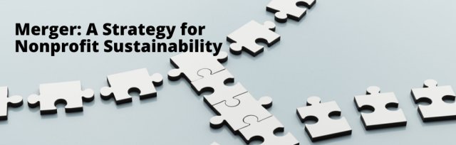 Merger: A Strategy for Nonprofit Sustainability