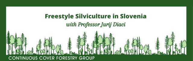 Freestyle Silviculture in Slovenia - CCFG Webinar with Professor Jurij Diaci