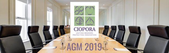 Book a Private Business Room at CIOPORA AGM 2019