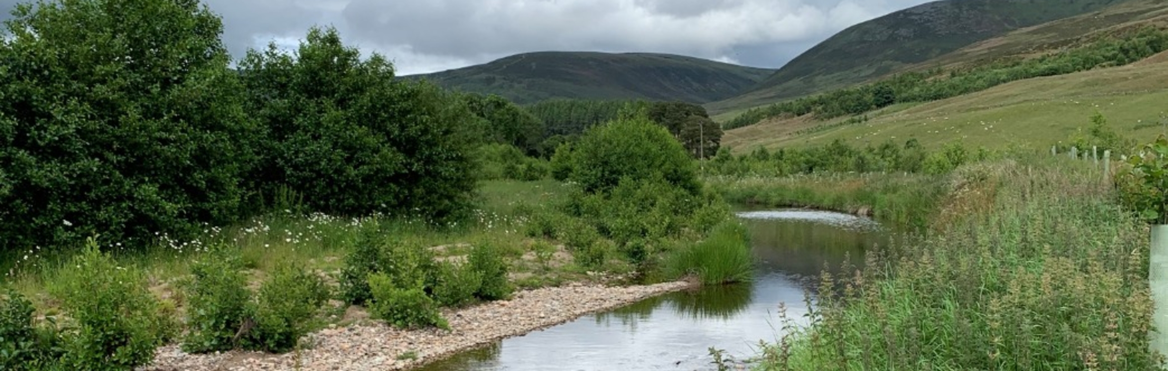 Select tickets – Riparian Planting: Why and How? with Richard Lockett ...