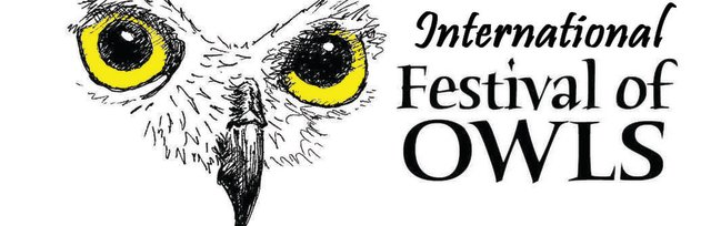 International Festival of Owls