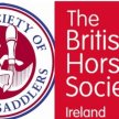 Is Your Horse Comfortable? Could he/she have a headache? What we should know about Bridles, Nose bands and their fitting image