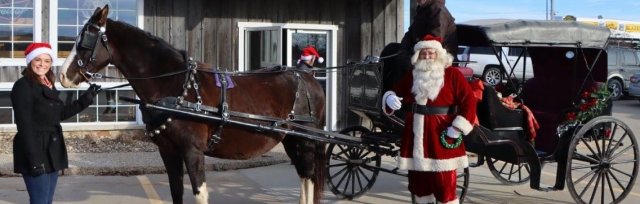 West Branch Christmas Past - Horse Drawn Carriage Rides