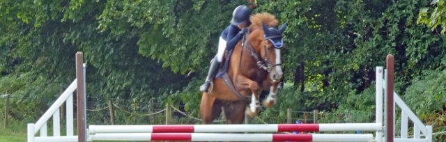 Show Jumping at Castlefields