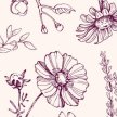 Botanical Illustration for Nature Connection image