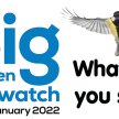 RSPB Big Garden Birdwatch image