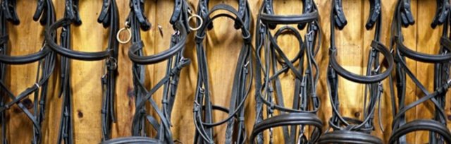 Looking at the Latest Tack and Equipment with Jo Winfield FBHS