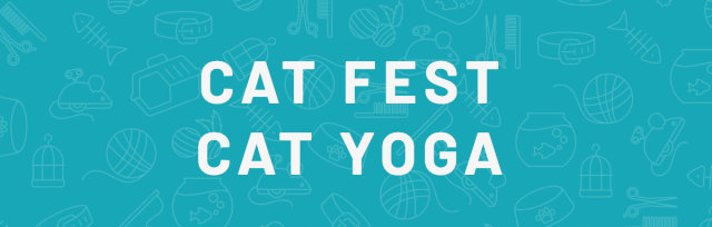 Edmonton Cat Festival - CAT YOGA (In Person) presented by Yogalife Studios (Sunday, May 29, 2022)