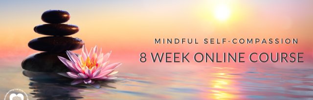 The Official Mindful Self-Compassion Course - 8 Week ONLINE Training (MSC 19.0)