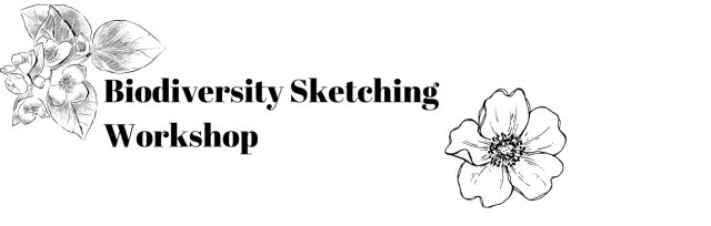 Biodiversity Sketching Workshop in the Sensory Garden