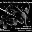Ninja Ballet Fundraising Performance image