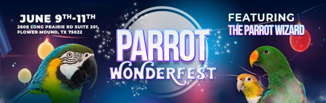 Parrot Wonderfest | Dallas Parrots