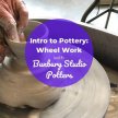 STAT2 Intro to Pottery: Wheel Work with Bunbury Studio Potters image