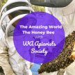 BSS23 The Amazing World of the Honey Bee with The WA Apiarists Society image