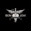 The Bon Jovi Experience image