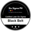 Lean Six Sigma Black Belt Certification Program for SERVICE Industry (Wave 10) by The Six Sigma Guy image