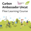 Carbon Ambassador Uncut image