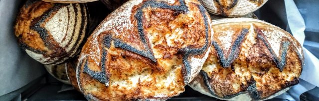 Sold out – Sourdough Bread Baking Course – Zoom