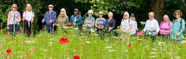 [Dulwich Park] Nordic Walking with Silverfit