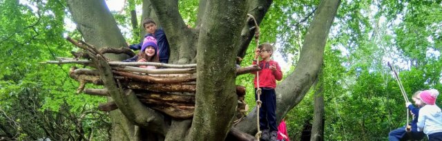 Saltaire Summer Holiday Forest School