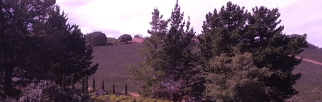High Fragrance Picnic Arbor in the Lavender