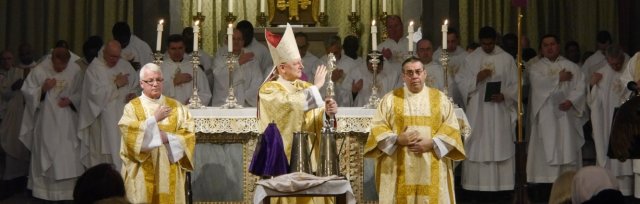 Chrism Mass with the Archbishop