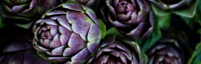 Carciofo Violetto di San Luca - Presidio Slow Food
