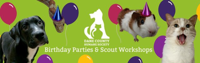 Birthday Parties and Scout Workshops