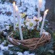 Imbolc Retreat Day - Relax, Recharge, Reset image
