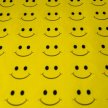 Happiness 101: Positive Psychology, Tiny Habits and Mental Fitness image