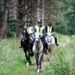 Ride Out UK Guided Ride in the Wyre Forest image