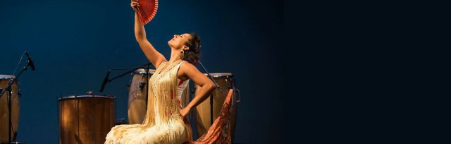 Narración Flamenca, A Flamenco Performance Featuring Dance, Song & Guitar