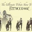 Mack Fleetwood - A Tribute to Fleetwood Mac image