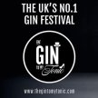 The Gin To My Tonic Festival Bournemouth 2022 image