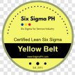 Lean Six Sigma Yellow Belt Online Certification (Wave 117) by Rex "The Six Sigma Guy" image