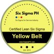 Lean Six Sigma Yellow Belt eWorkshop Certification (Wave 127) by Rex "The Six Sigma Guy" image