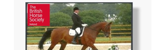 The British Horse Society Ireland Adult Camp  at Castle Irvine Equestrian Centre