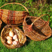Make a Willow Rib Basket Workshop image