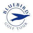 BlueBirds & Friends image