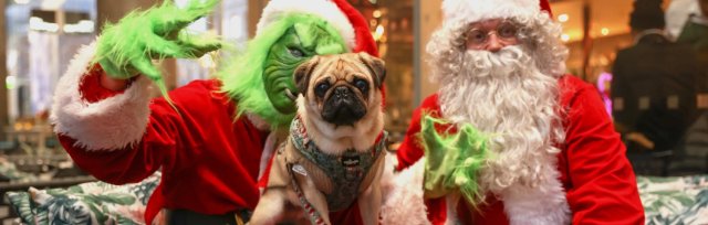 Pug Cafe Christmas - Cardiff