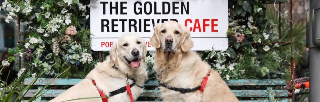 Golden Retriever Cafe - Sheffield