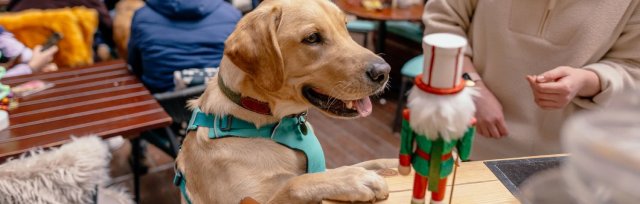 Labradora Cafe BUY TICKETS NOW – Labrador Cafe Christmas - Liverpool – The Bierkeller ...