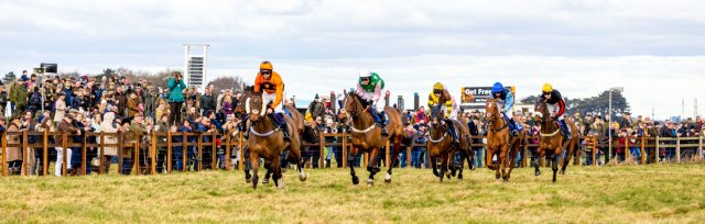 Brocklesby Races