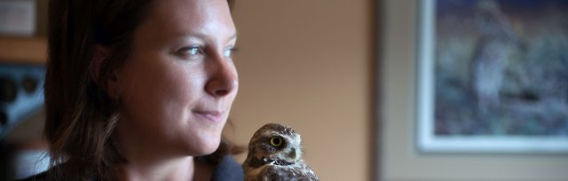 Burrowing Owls in British Columbia