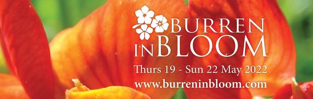 Burren in Bloom 2022